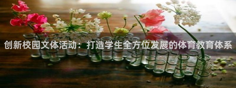 k1体育十年登录入口