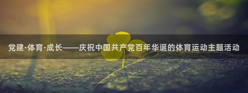 k1体育网站登录官网