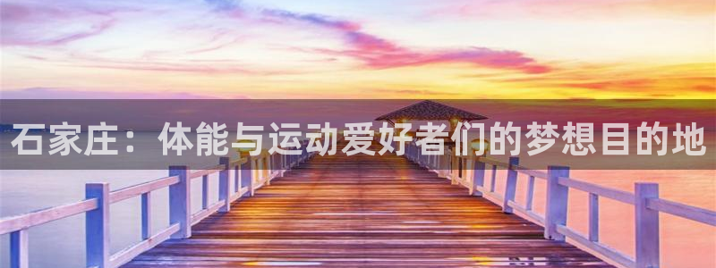k1体育网站登录官网