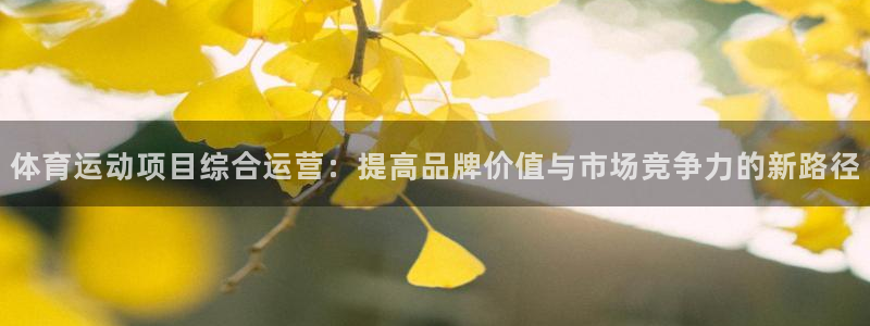 k1体育十年品牌官网