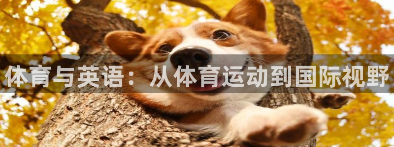 k1体育平台最新网站下载