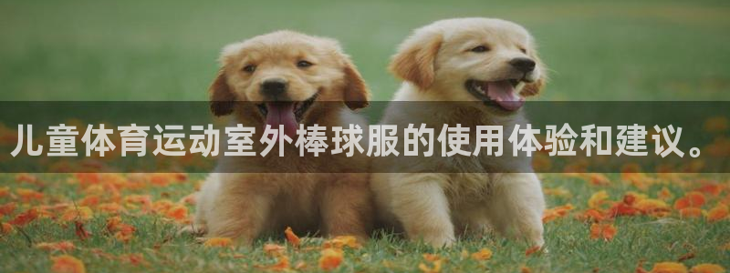 k1体育网站登录官网