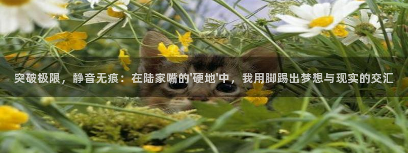 k1体育app
